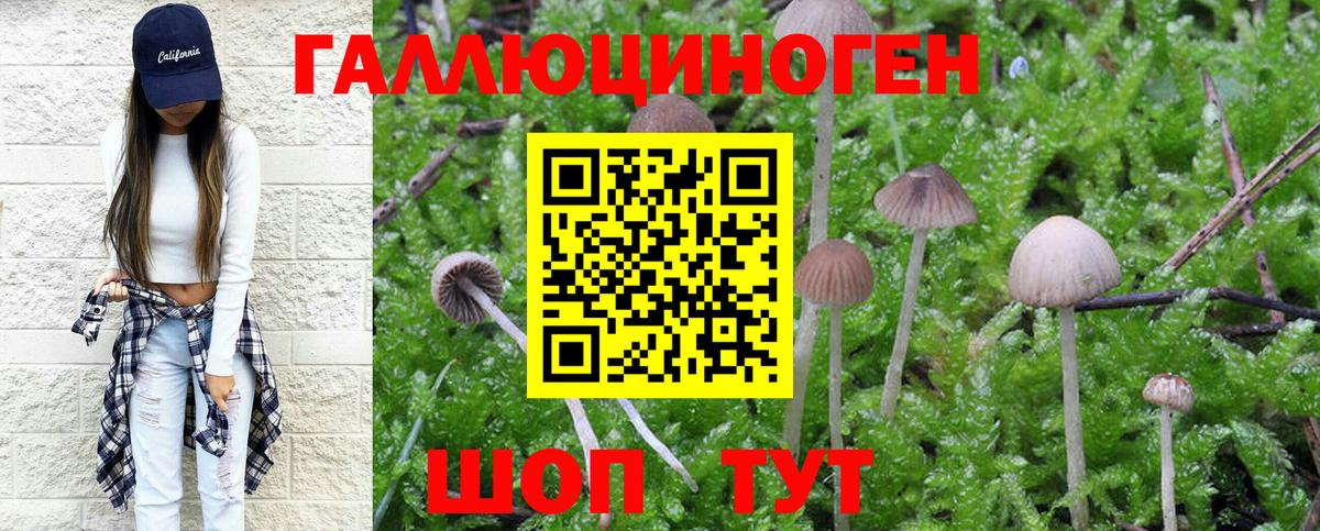 Псилоцибиновые грибы Psilocybine cubensis  купить наркоту  Беслан  Вход с VPN 